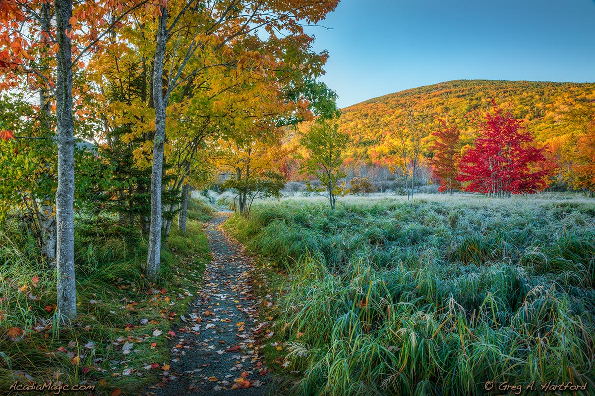 Jesup Path Hiking Trail in Great Meadows in Acadia National Park, Maine.