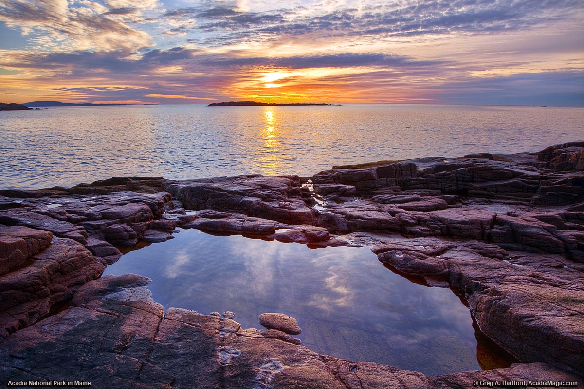 Tidal Pool at sunrise in Acadia National Park