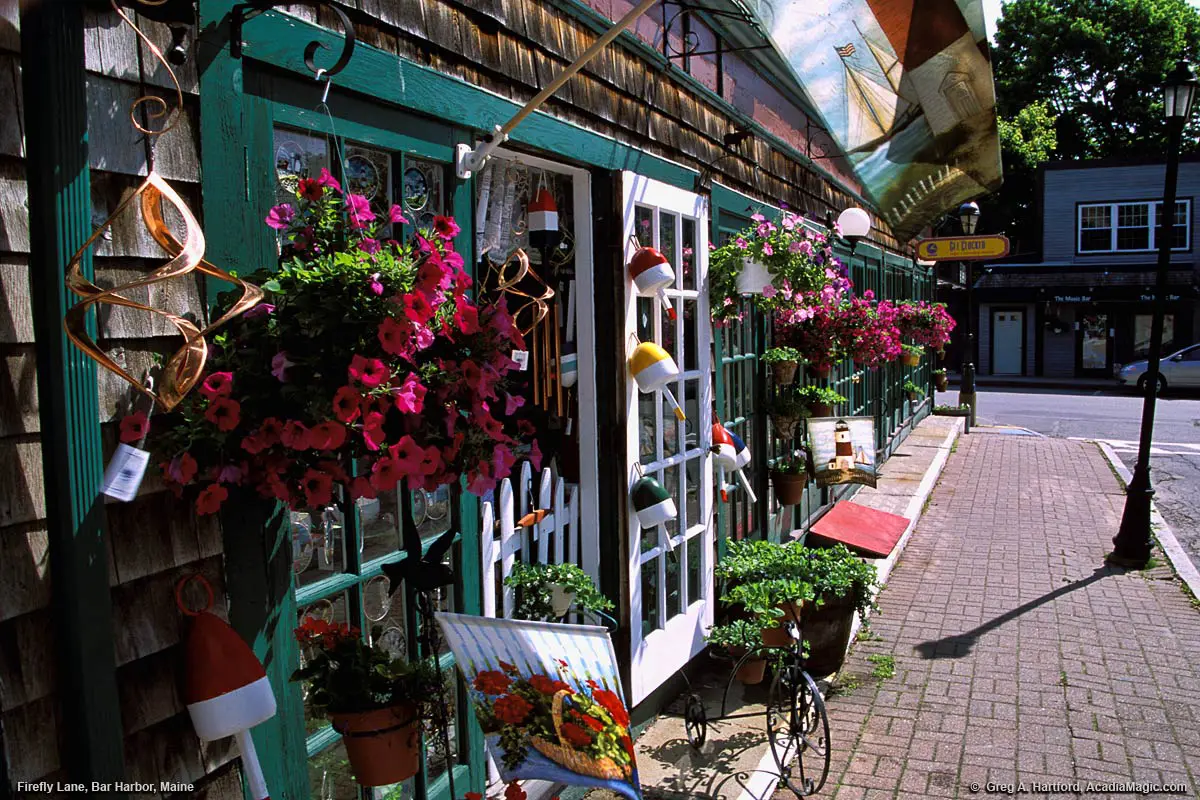 A Bar Harbor Shop on Firefly Lane