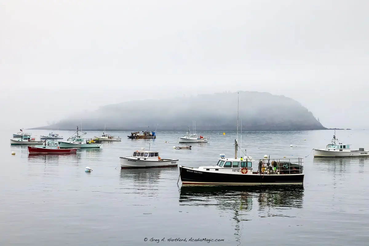 Easterly view from the Bar Harbor Shore Path with lobster boats and Sheep Porcupine Island