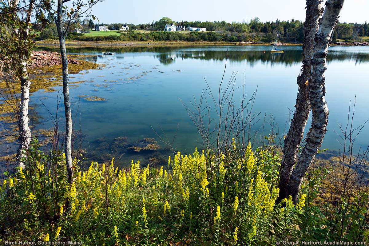 This shows Birch Harbor, Maine looking north across the inlet towards the village after leaving Acadia National Park.