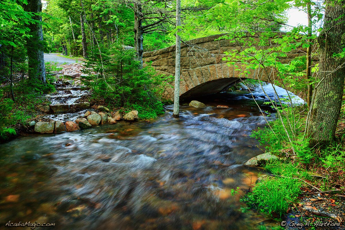 Acadia National Park photo taken near Jordan Pond on Mount Desert Island