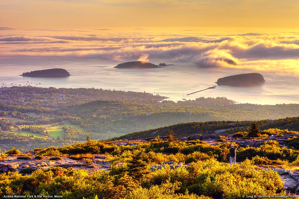 Golden Sunrise with Fog on Cadillac Mountain