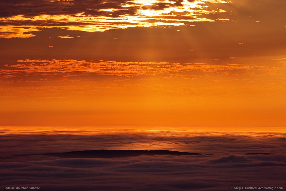 Sunrise view of Schoodic Head surrounded by Fog