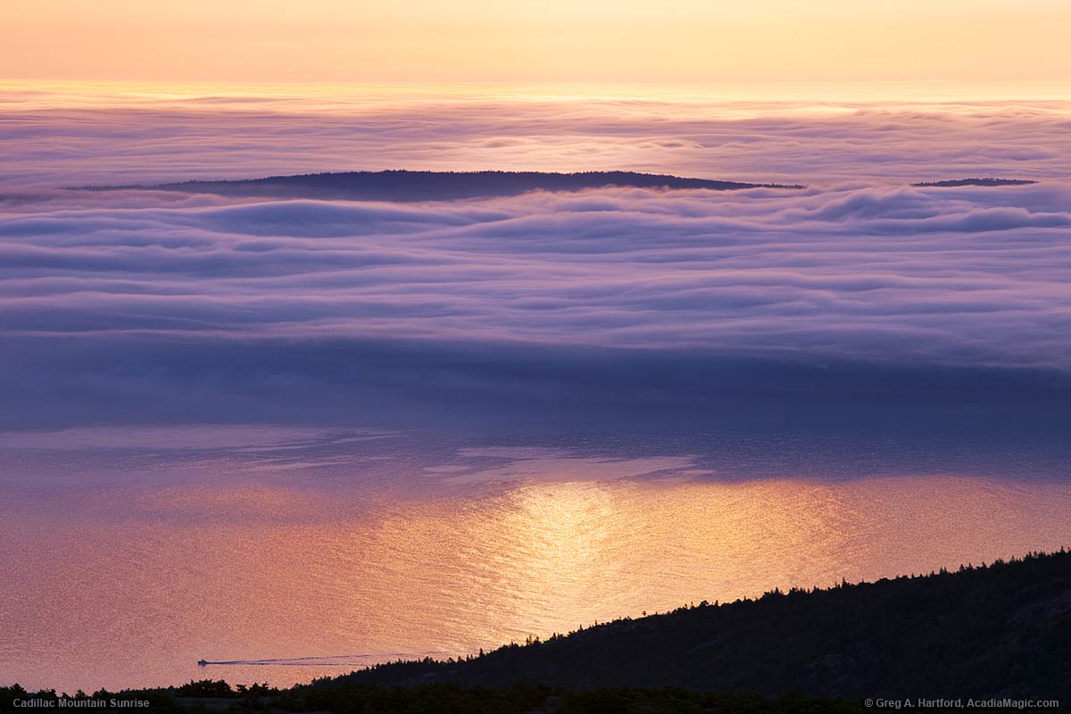 View from Cadillac Mountain in Acadia