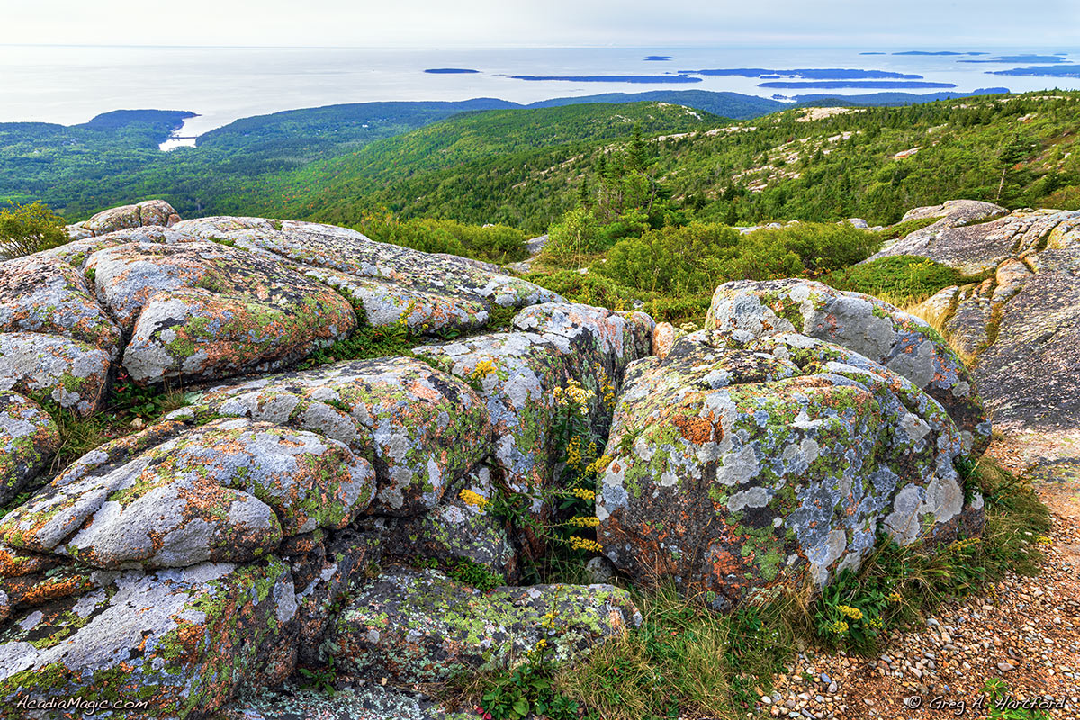 Sunrise and Bar Harbor fog seen from Cadillac Mountain in Acadia National Park