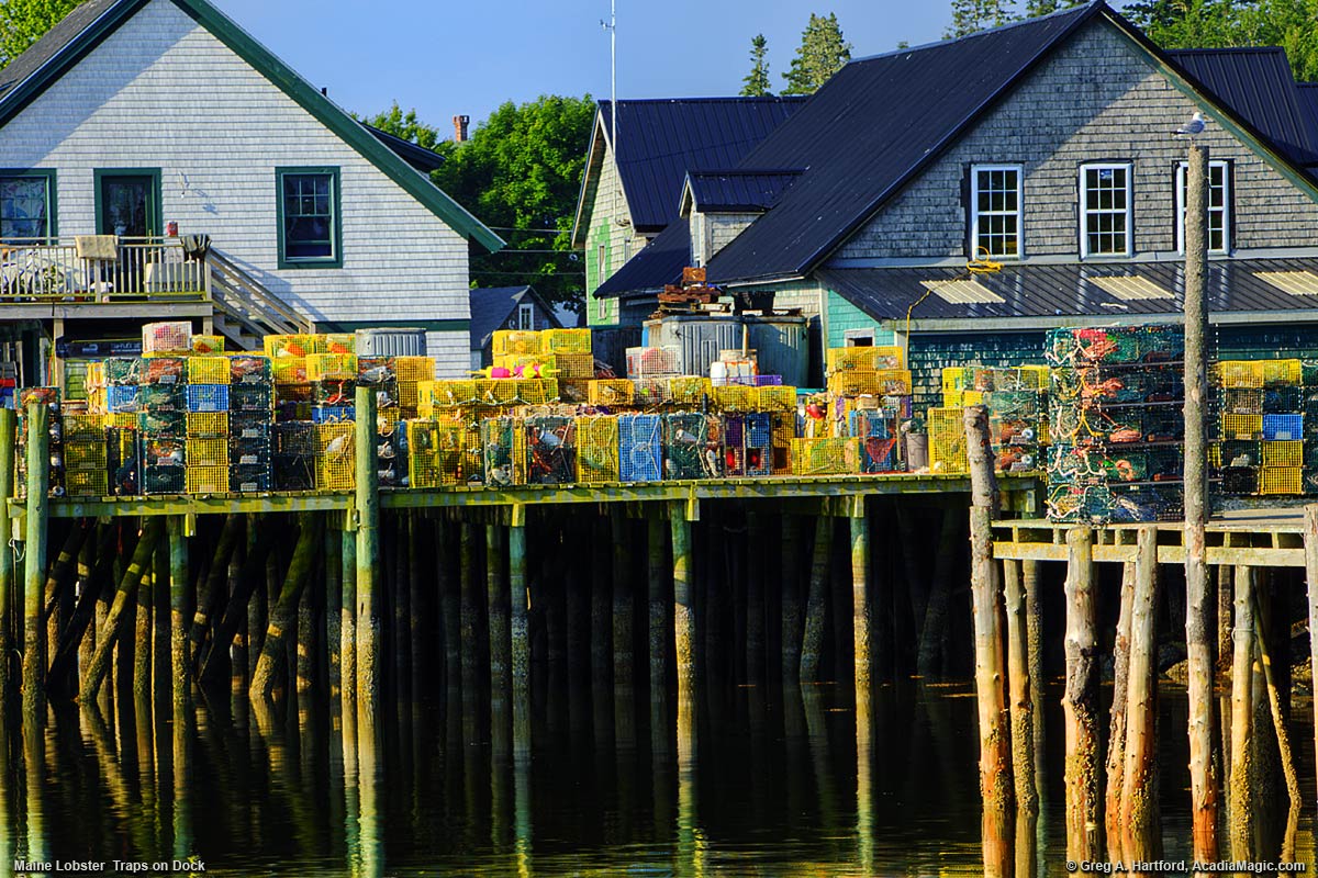 Lobster traps on dock in Bernard, Maine