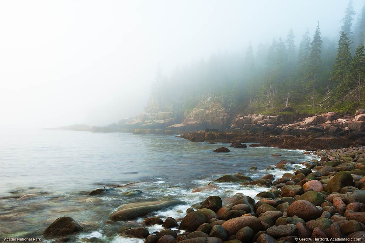 A view of Otter Cliff on very foggy morning