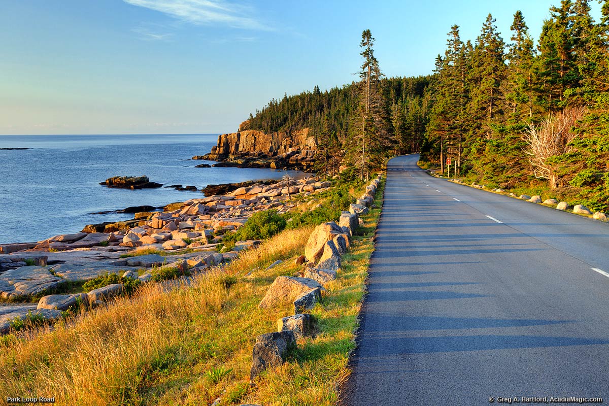 Park Loop Road in Acadia National Park
