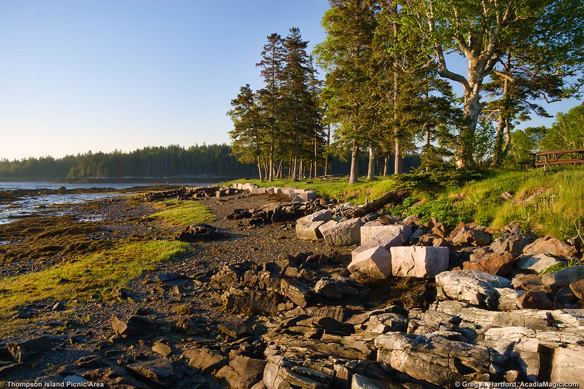 Picnic Area on Thompson Island - Photo 1