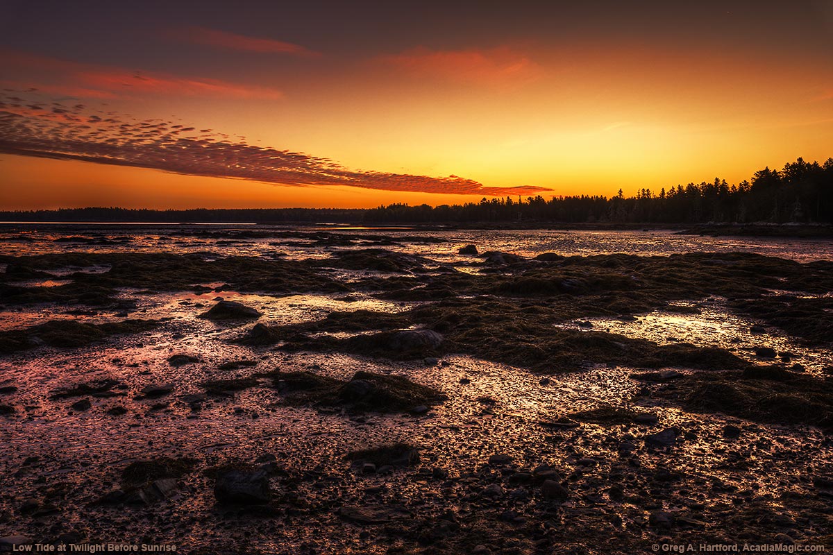 On the Shore of the Thompson Island Picnic Area at low tide - Photo 7