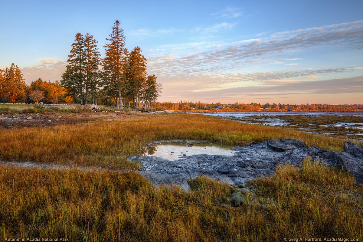 On the Shore of the Thompson Island Picnic Area looking North - Photo 6