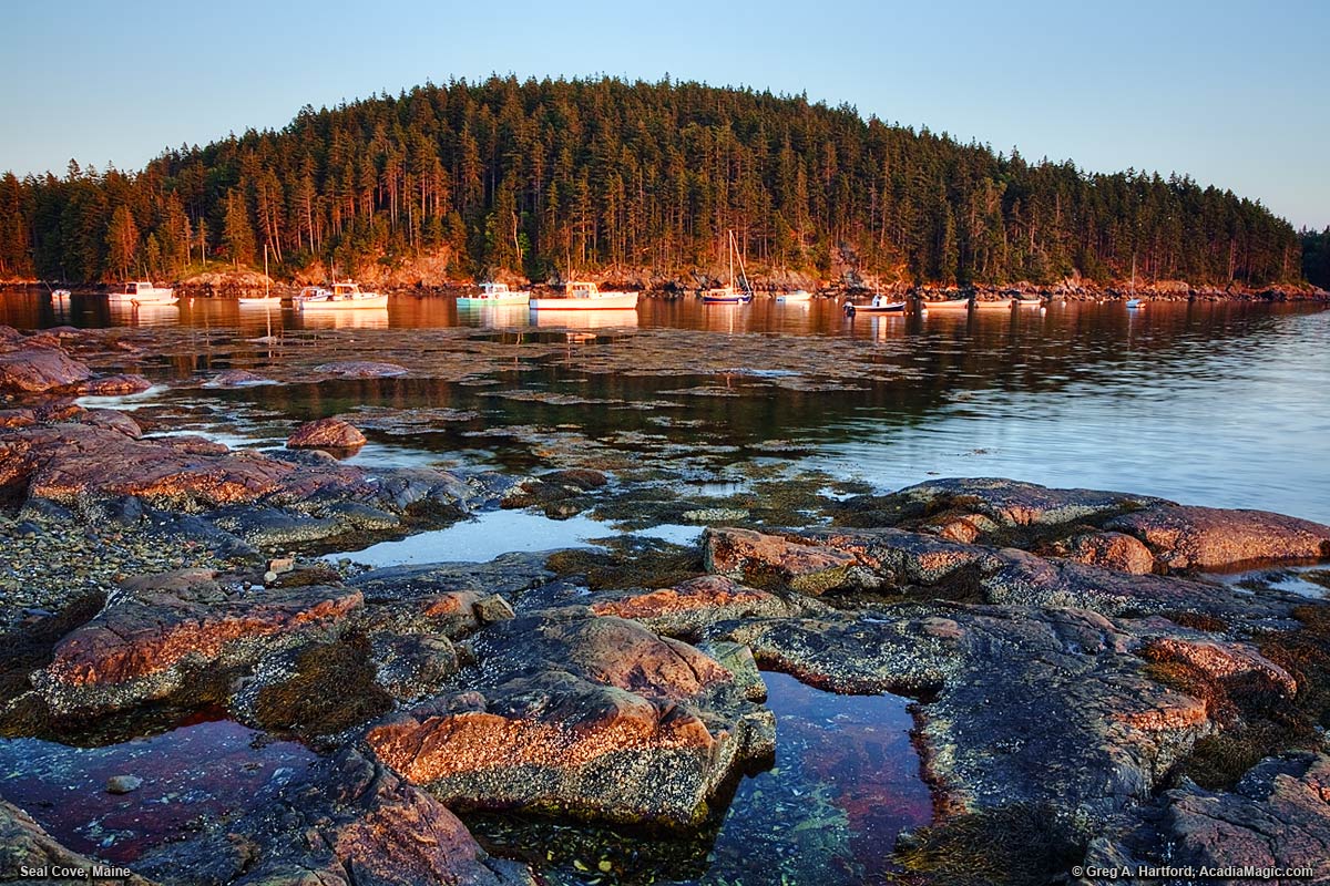 Seal Cove at sunrise on Mount Desert Island