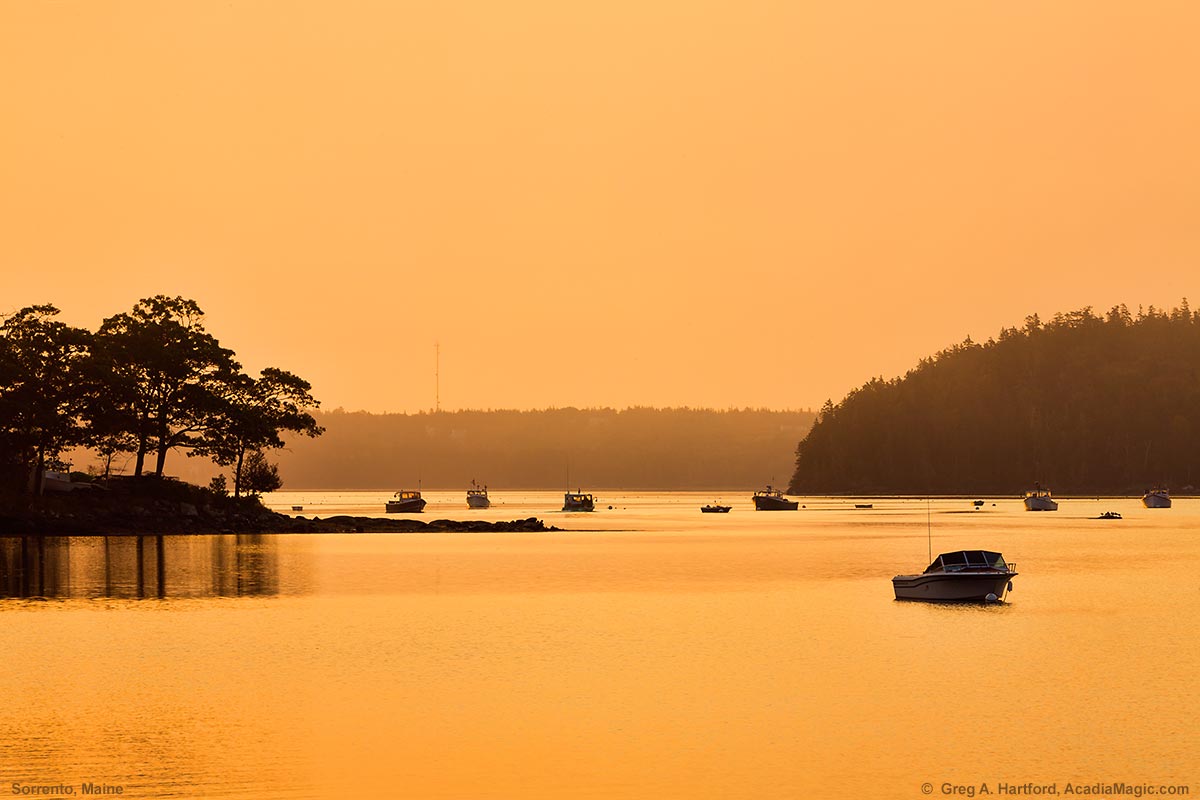 This photo shows part of Calf Island in Sorrento, Maine.