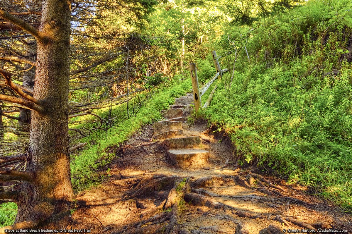 Steps in Acadia National Park at Sand Beach