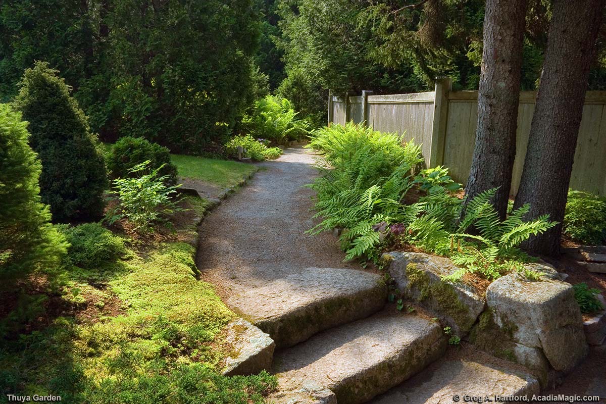 Path that goes to the Charles Kenneth Savage Memorial in Thuya Garden