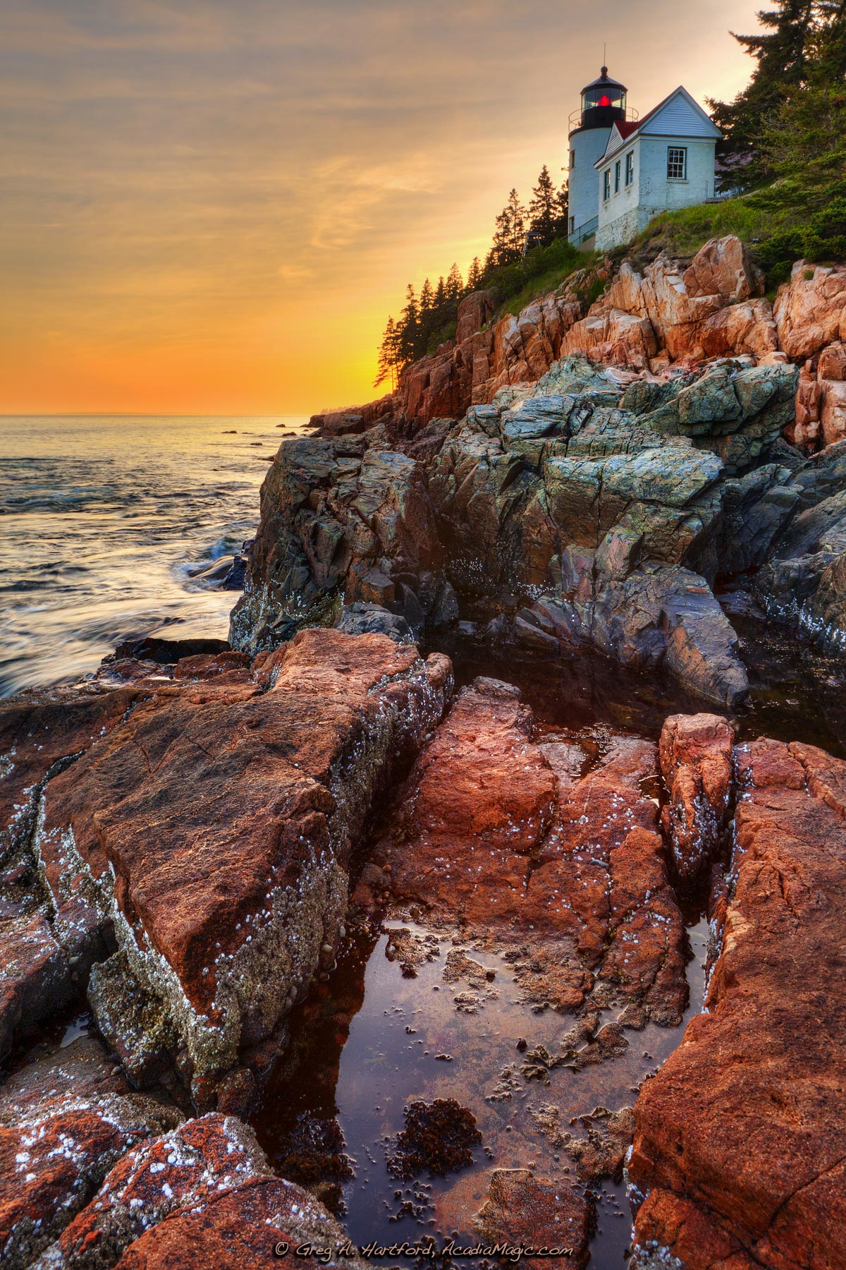 Bass Harbor Head Light in Acadia National Park