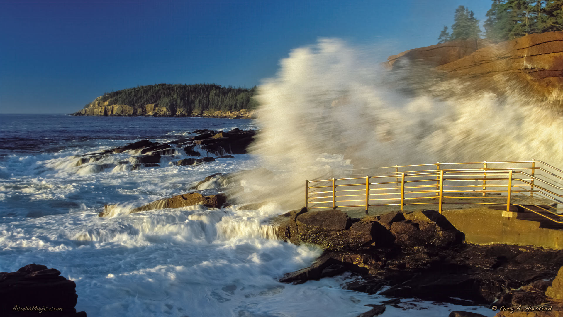 Large crashing wave at Thunder Hole in Acadia National Park in Maine