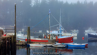 View of Lobster Boats at the dock in Winter Harbor, Maine