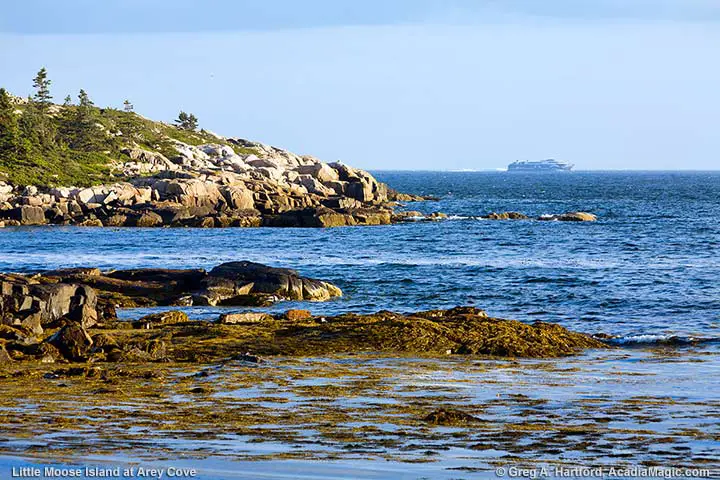 Little Moose Island and The Cat from Arey Cove