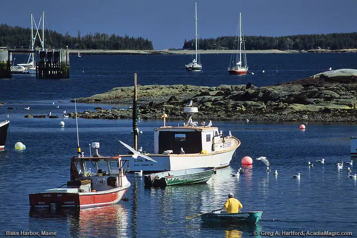 View the Bass Harbor Head Light in Acadia National Park.