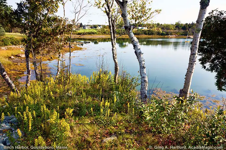 Birch Harbor, Maine
