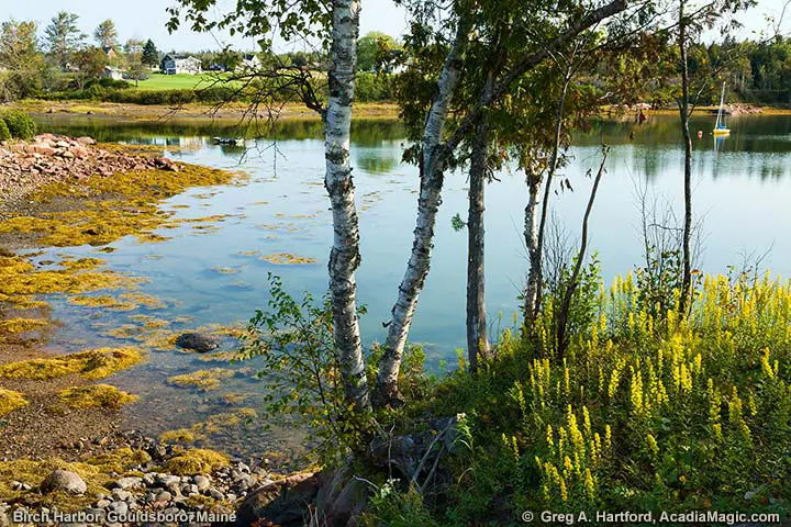 Birch Harbor, Maine