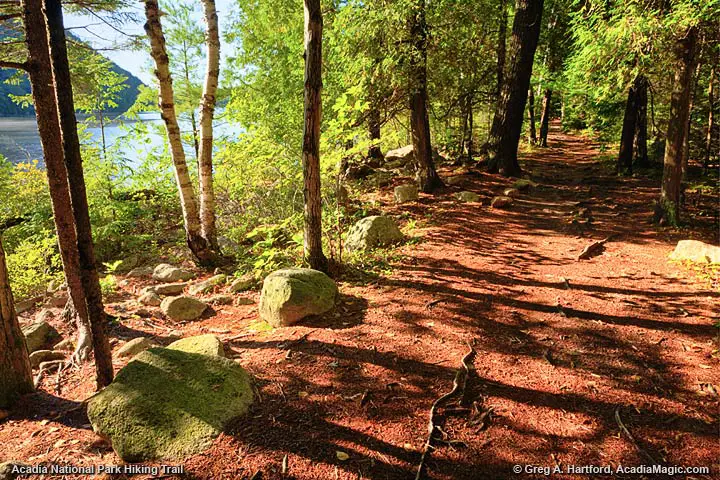 View hiking trail next to Jordan Pond in Acadia National Park