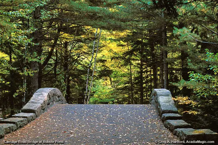 Carriage Road Bridge at Bubble Pond