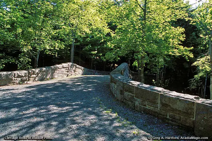 Carriage Road at Bubble Pond