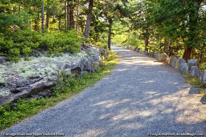 Carriage Road near Upper Hadlock Pond