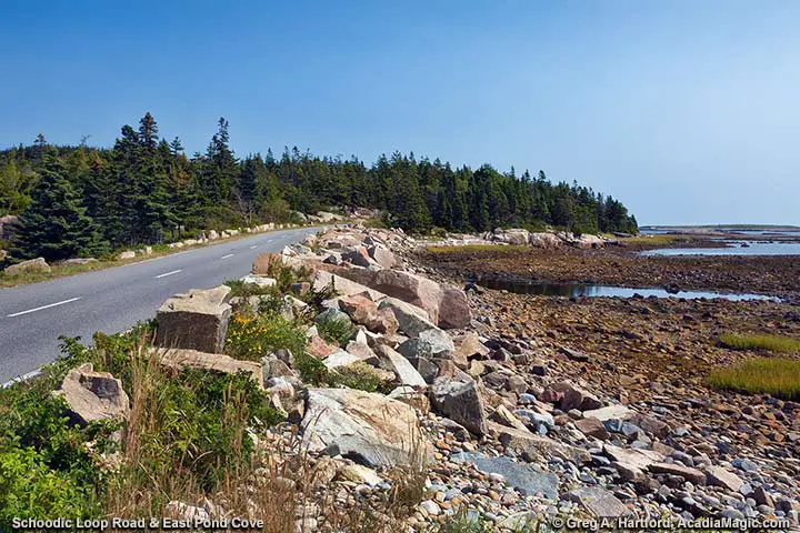 East Pond Cove next to Schoodic Loop Road