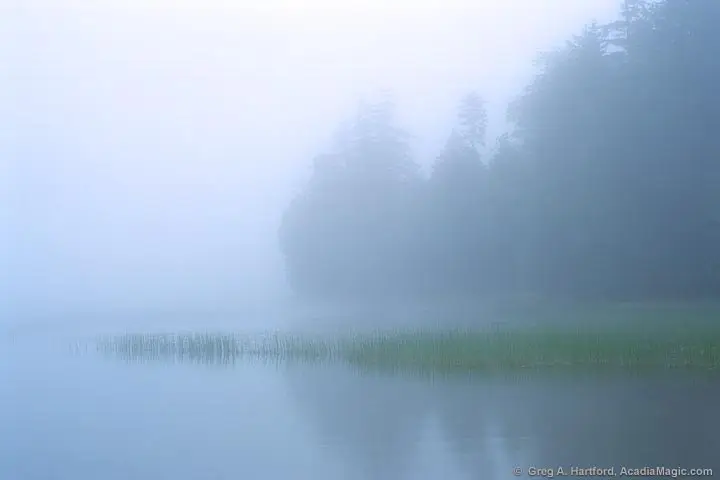 Foggy morning at Echo Lake Beach