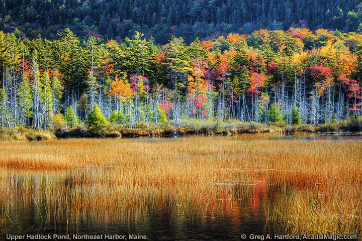 Autumn view of Upper Hadlock Pond in Acadia