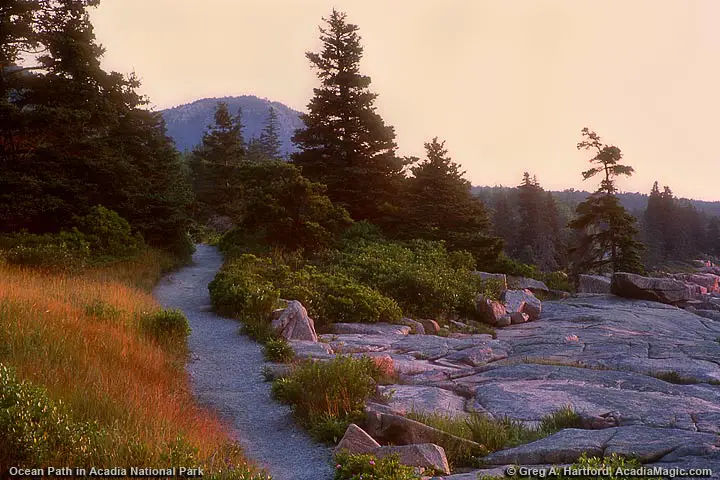 The Ocean Path Hiking Trail looking north toward The Beehive