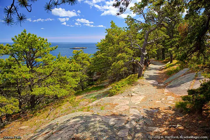The Ocean Path near Sand Beach and the Park Loop Road