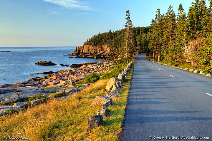 Park Loop Road with Otter Cliff