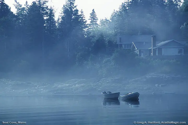 Sailboat at Seal Cove in fog