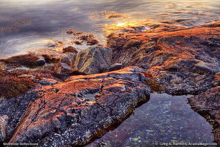 Tide pool next to water's edge