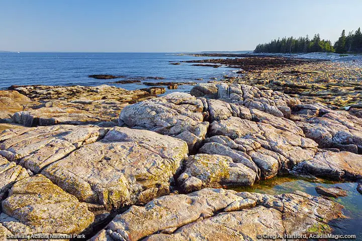 Summer at Seawall in Acadia
