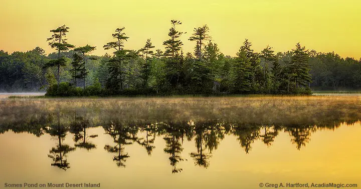 Foggy morning at Little Long Pond
