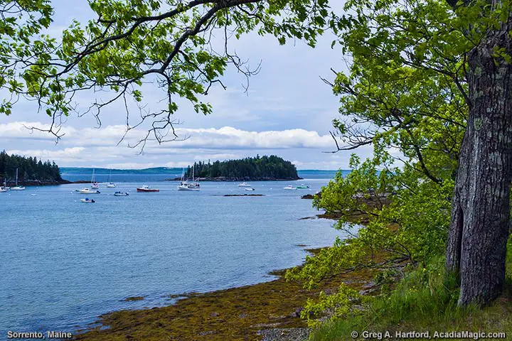 Ocean view from Sorrento, Maine