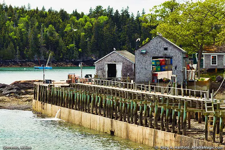 Lobster company in Sorrento, Maine