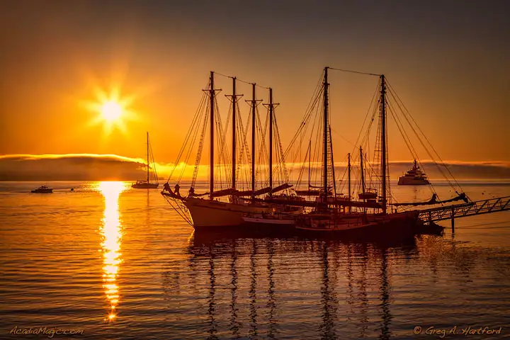 Schooner Margaret Todd in Bar Harbor at sunrise