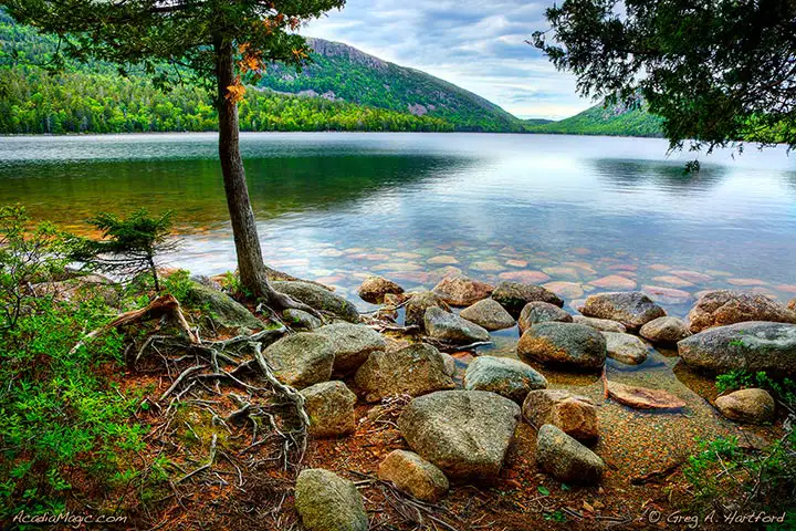 Close up view of Jordan Pond in Acadia National Park