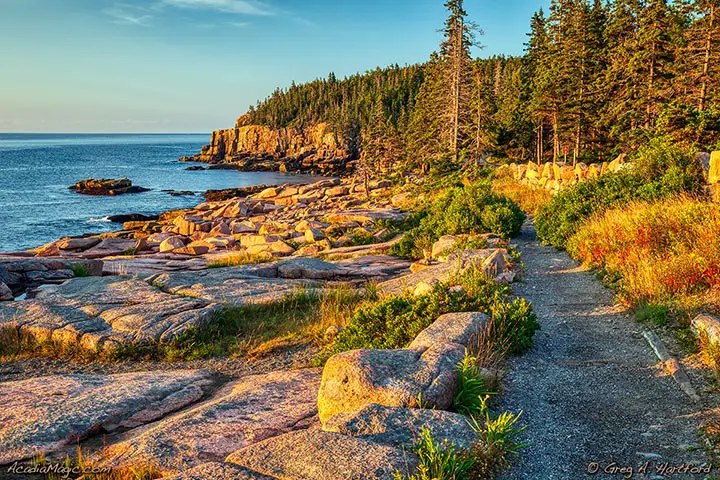 A nice view of Otter Cliff from the Shore Path