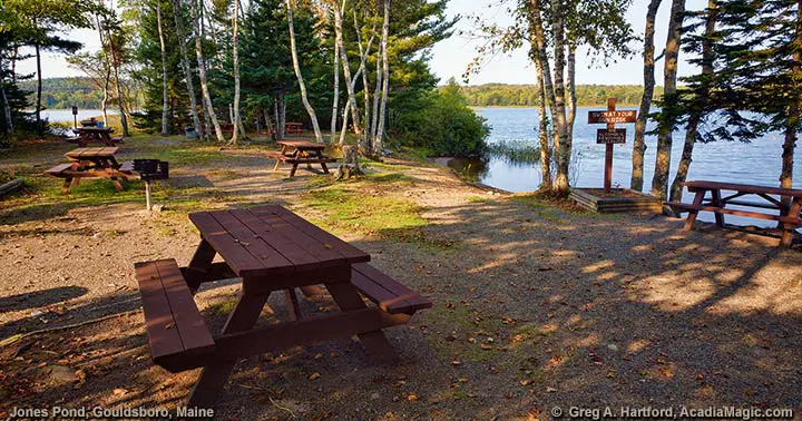 Jones Pond Recreational Area Picnic Table