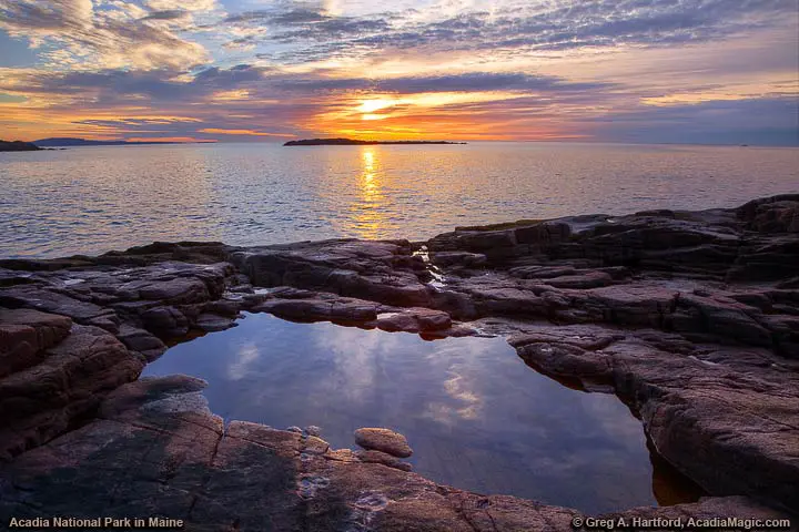 Reflection in tidal pool in Acadia National Park