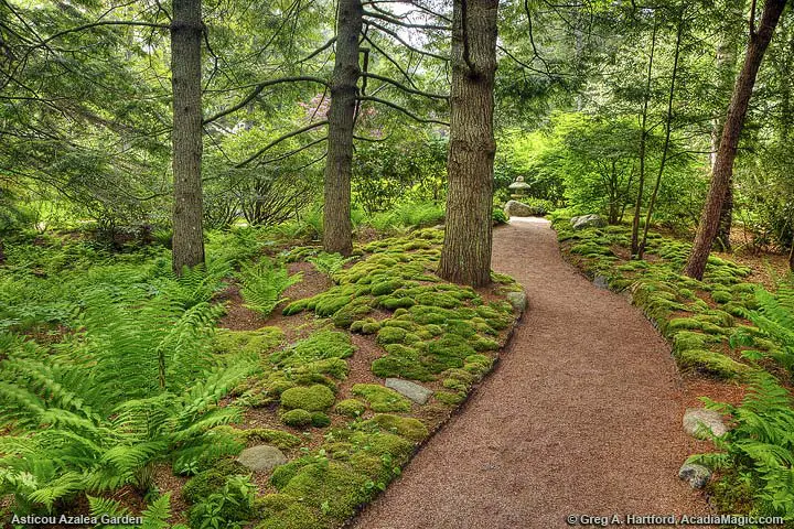The walking path proceeds across little stream
