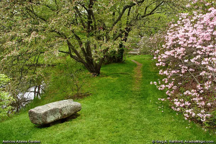 Granite sitting bench near pond